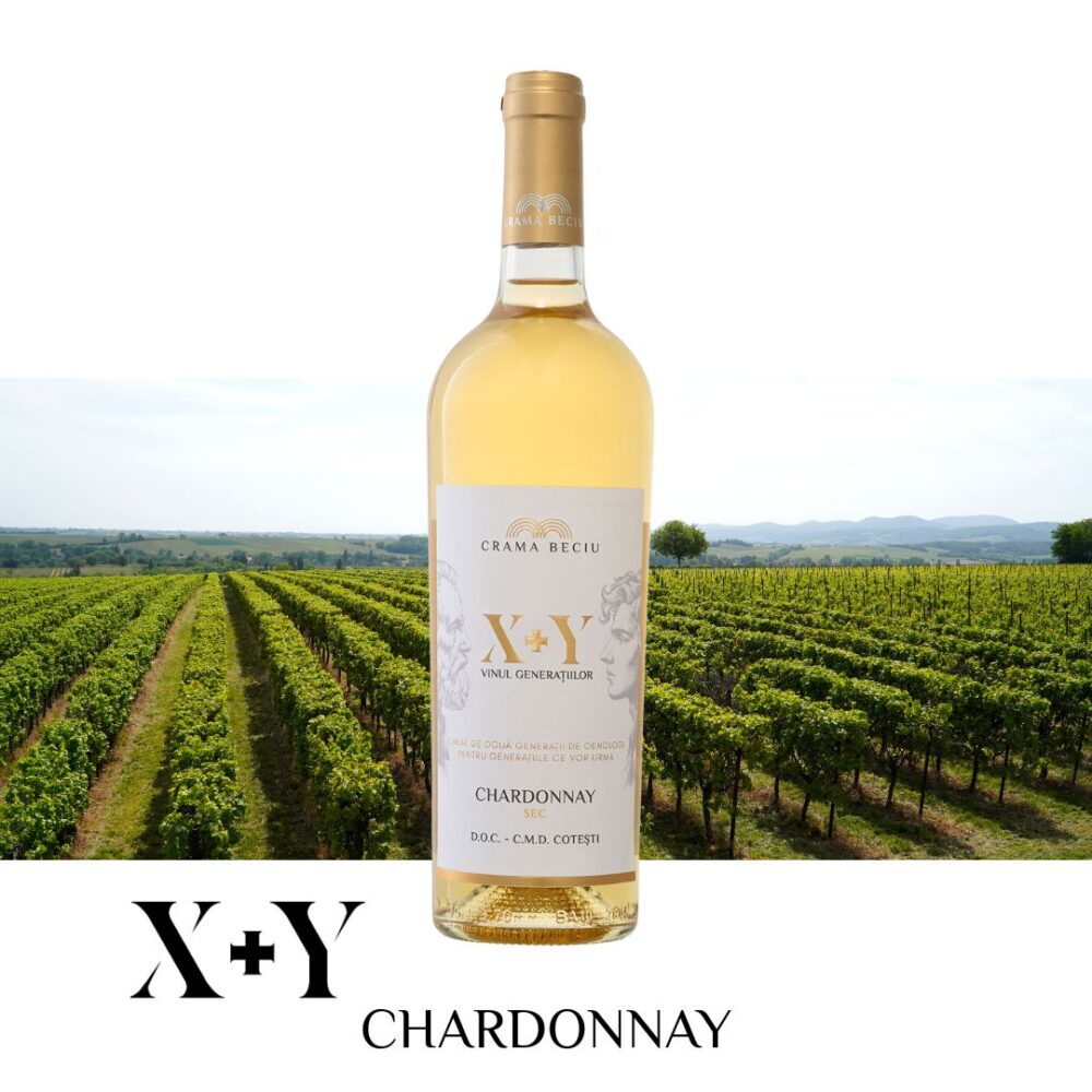 X+Y | Chardonnay | SEC | 0.75l Vin Alb Sec 2025-10-28 X+Y | Chardonnay | SEC | 0.75l Vin Alb Sec 2025-10-28