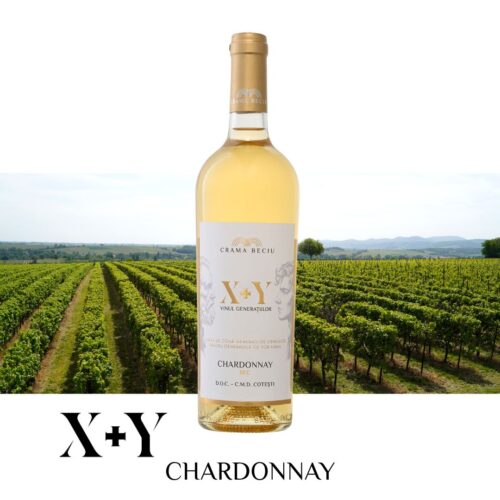 X+Y | Chardonnay | SEC | 0.75l Vin Alb Sec 2025-10-07 2