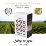 Strop de Grai | Feteasca Regala | DEMISEC | BIB 2L Vin Alb Demisec 2026-04-21 5