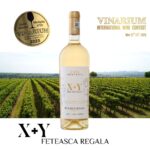 X+Y | Merlot | SEC | 0.75l Vin Rosu Sec 2025-10-09 3