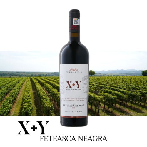 X+Y | Feteasca Neagra | SEC | 0.75l Vin Rosu Sec 2026-04-17 2