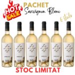 Pachet 6 sticle X+Y Merlot Sec Reduceri 2024-11-21 2