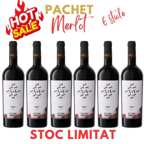 Pachet 6 sticle X+Y Merlot Sec Reduceri 2025-03-13